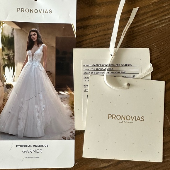 Pronovias Garner Wedding Dress with Blush underlay, lace and tulle wedding dress - Picture 3 of 7